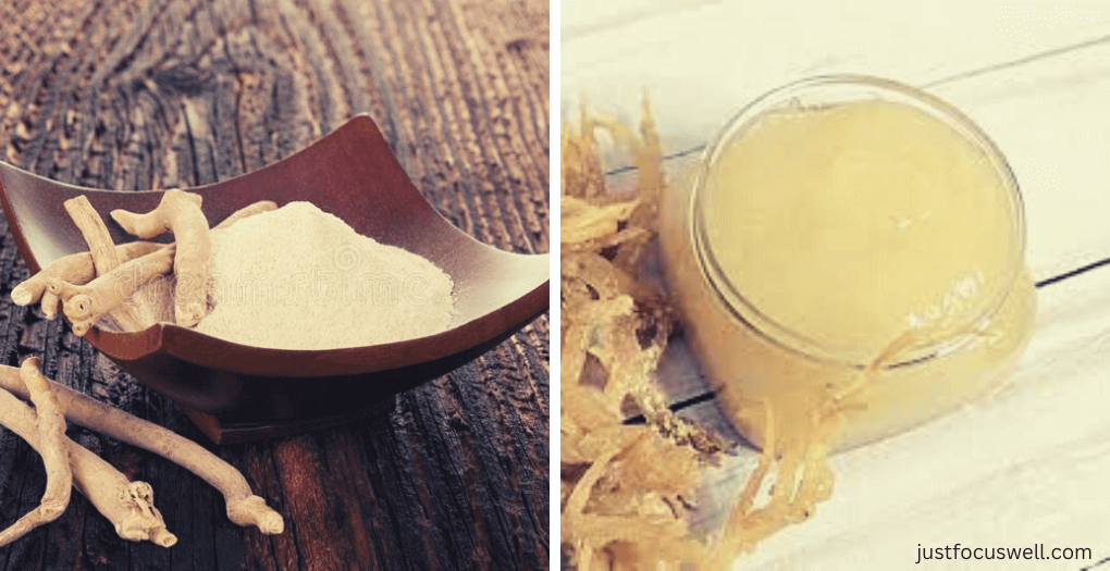 Why You Should Take Ashvagandha And Sea Moss Together?